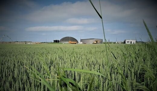 Credit Agricole sfinansuje budowę biogazowni w Polsce
