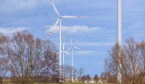 Polska firma zrealizuje dużą farmę wiatrową na Litwie