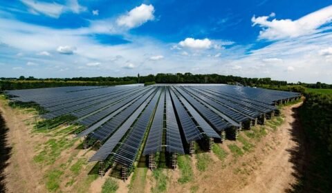 Powstaje największa farma solarna we Włoszech. W technologii agroPV