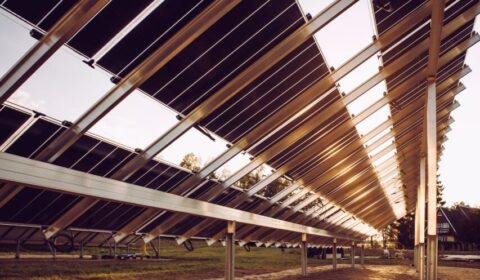 To będzie największa farma PV w Europie na modułach TOPCon