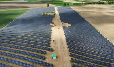 Sharp dostarczy dwustronne panele na farmy PV w Polsce