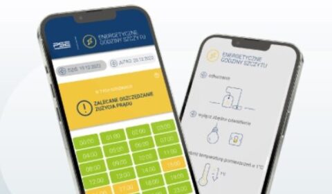 PSE chce pomóc w oszczędzaniu energii elektrycznej. Ma propozycję