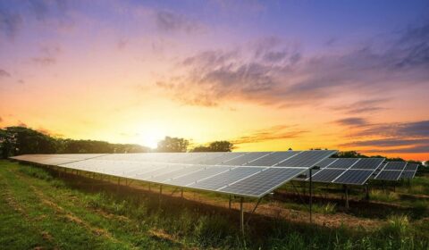 Zostań właścicielem farmy fotowoltaicznej z REVON Energy