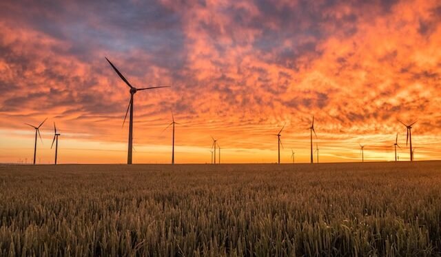 W UE przybyło 16 GW mocy w farmach wiatrowych. Polska ma swój rekord