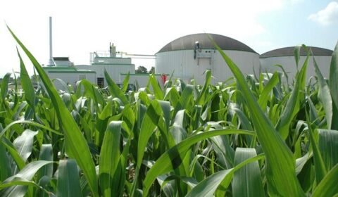 Ustawa o biogazowniach rolniczych z poparciem całego Sejmu