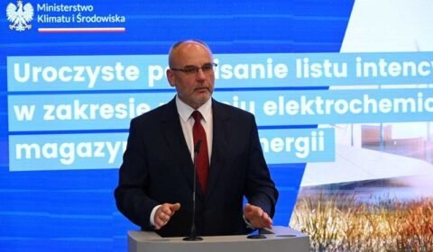 Państwowe koncerny chcą zbudować fabrykę polskich magazynów energii