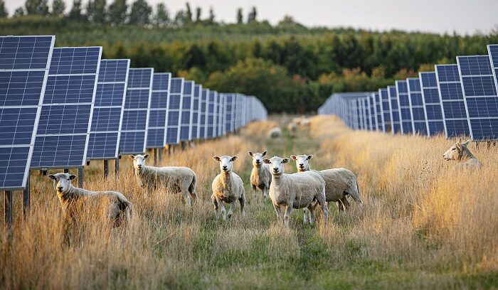 Duński producent opakowań kupi zieloną energię od Better Energy