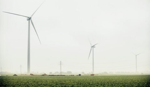 Duńczycy otwierają kolejną farmę wiatrową w Polsce
