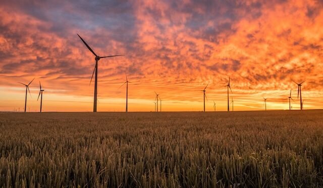 Cyfrowy Polsat pożyczy 175 mln zł na farmę wiatrową