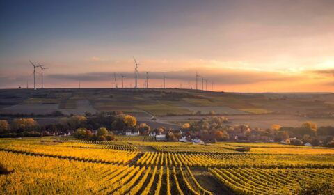 Słońce i wiatr wygenerowały w UE więcej energii niż paliwa kopalne
