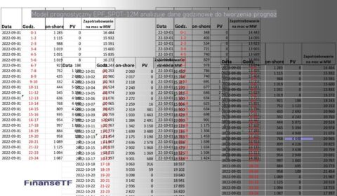 Prognozowanie cen energii elektrycznej na rynku SPOT – szkolenie on-line