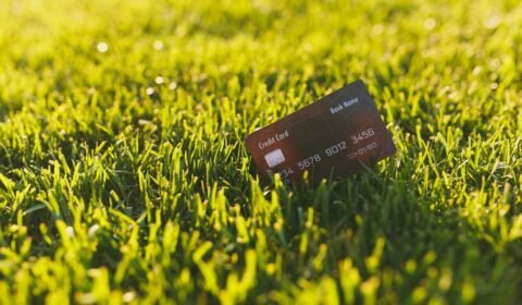 Domowe inwestycje w zieloną energię – jak karta kredytowa może pomóc w finansowaniu?