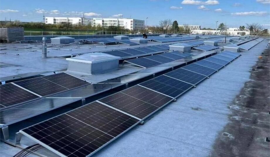 DAS Solar dostarcza wysokoefektywne moduły fotowoltaiczne N-type