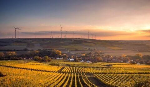 Niemcy notują rekord udziału OZE w produkcji energii elektrycznej