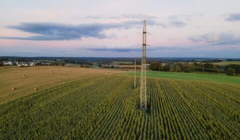 Tyle płacono za energię na rynku hurtowym w sierpniu