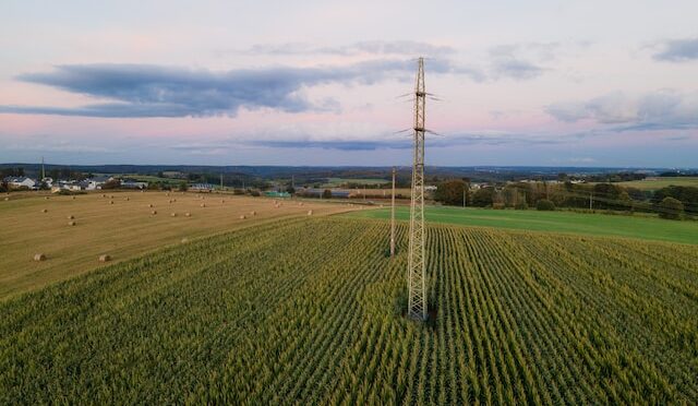 Tyle płacono za energię na rynku hurtowym w sierpniu