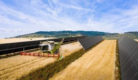 Agrofotowoltaika się rozpędza. 6,5 mln euro na projekty w pięciu krajach