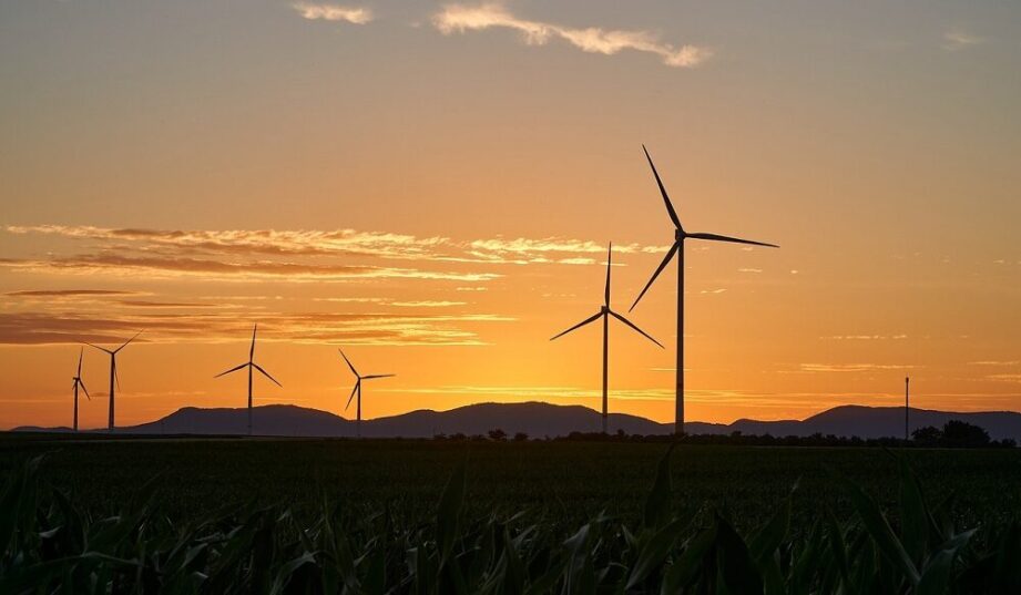 Google kupi energię odnawialną w Polsce