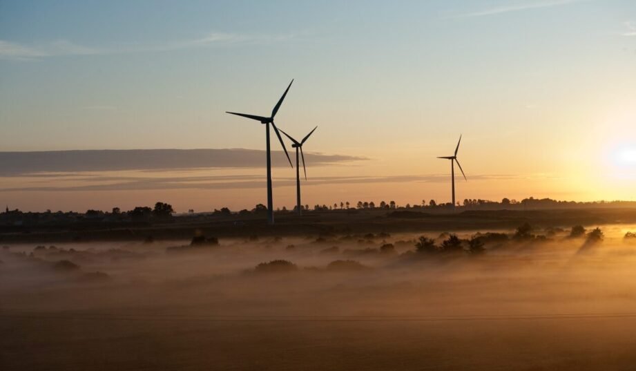 Polenergia zbuduje ogromne farmy wiatrowe za granicą
