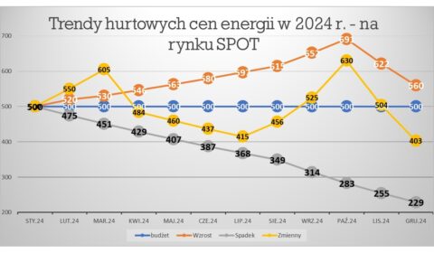 Strategie zakupowe energii elektrycznej a prognozowanie cen na rynkach SPOT i OTF – szkolenia