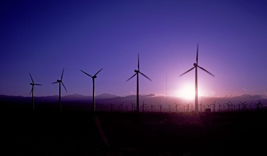 Największej lądowej farmie wiatrowej w Europie grozi bankructwo