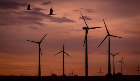 Święta w energetyce: Ujemne ceny energii i wyłączenia farm wiatrowych