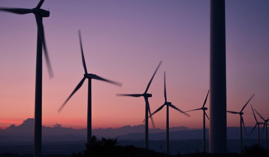 Producenci energii odnawialnej znowu nie dostaną zielonych certyfikatów