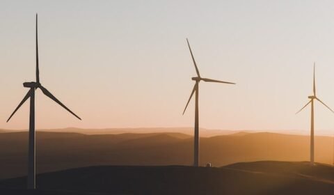 Rekord produkcji energii z wiatru w UE
