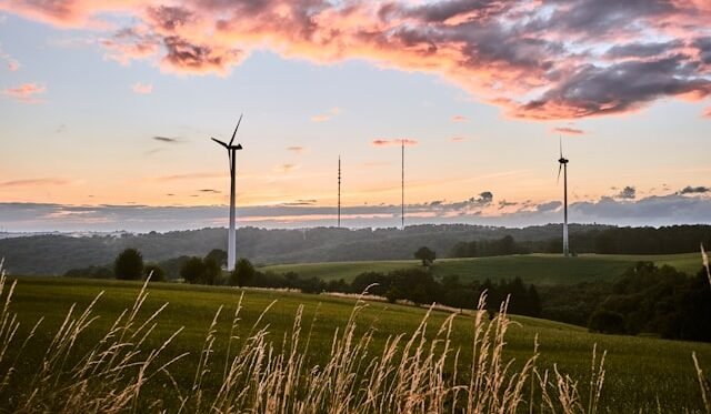 WindEurope: Widać ożywienie w energetyce wiatrowej