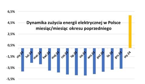 Analizy statystyczne rynku energii elektrycznej w Polsce 2021-2024