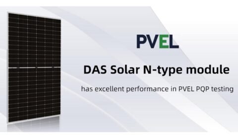 Moduł N-typu DAS Solar z doskonałym wynikiem w testach PVEL PQP