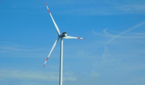 PSEW i Szczecin wyszkolą kadry do pracy przy turbinach wiatrowych