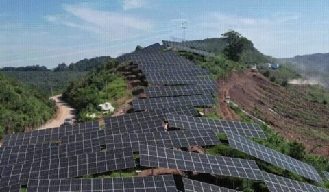 DAS Solar przyczynia się do rewitalizacji obszarów wiejskich dzięki agrofotowoltaice