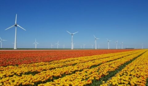 Nowe farmy wiatrowe w 54 krajach. Światowa energetyka wiatrowa na fali