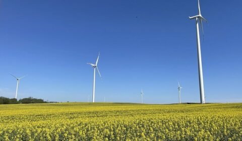Farmy wiatrowe wpłynęły na wyniki Polenergii za pierwszy kwartał 2024