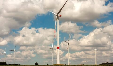 Energia z wiatru, czyli nowy trend w polskiej energetyce