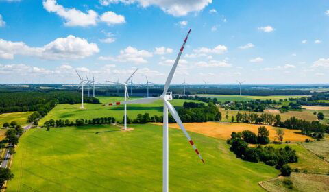 Tauron: Biznes w Polsce kupuje coraz więcej zielonej energii