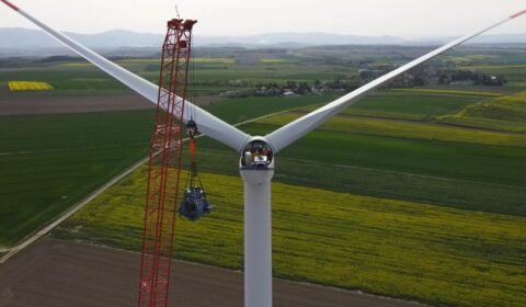 Grenevia kupi licencję na produkcję turbin wiatrowych