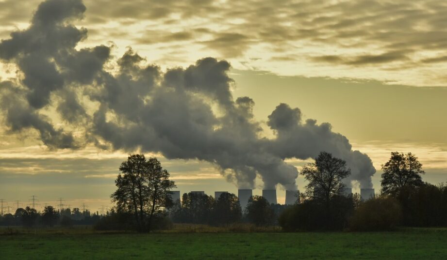 Obywatelka skarży Polskę za bierność w sprawach klimatycznych