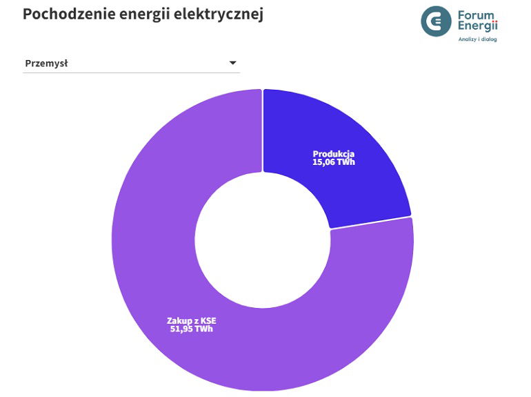 Wykres pokazujący pochodzenie energii elektrycznej zużywanej przez polski przemysł