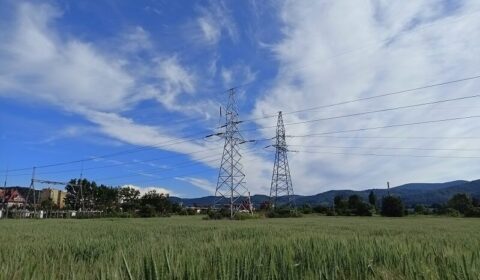 PSE i Energa mają koncepcję rozwoju sieci elektroenergetycznych