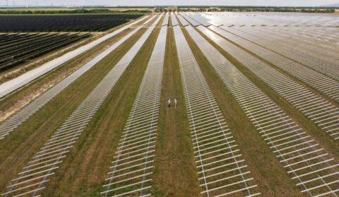 80 mln euro na agrofotowoltaikę