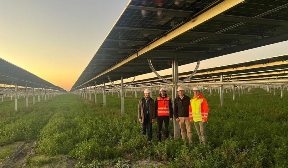 Ogromna farma agrofotowoltaiczno-wiatrowa bliska uruchomienia