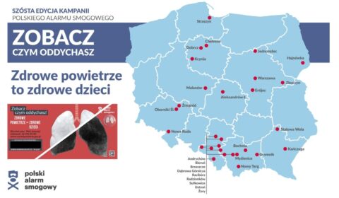 Kolor płuc w mobilnej instalacji pokaże Polakom jakość powietrza