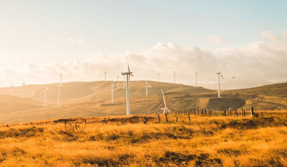 Gigantyczne straty z powodu wyłączania farm wiatrowych