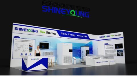 Flex-Storage i ShineYoung: Nowe standardy w magazynowaniu energii