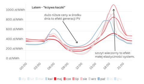 Kaczka wylądowała. Tak fotowoltaika i prosumenci wpłynęli na ceny energii