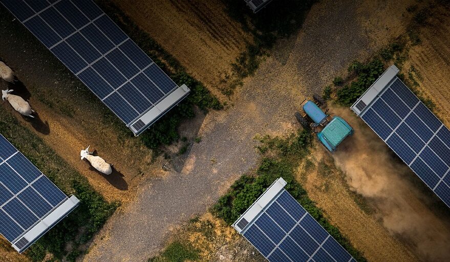 Greenvolt zabezpieczył kontrakt dla projektu agrofotowoltaicznego