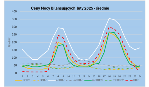 Dotacje do 65% - Magazyny Energii na rynku mocy bilansujących – opłacalność: szkolenia