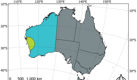 Australia wodorowym hubem dla Europy?